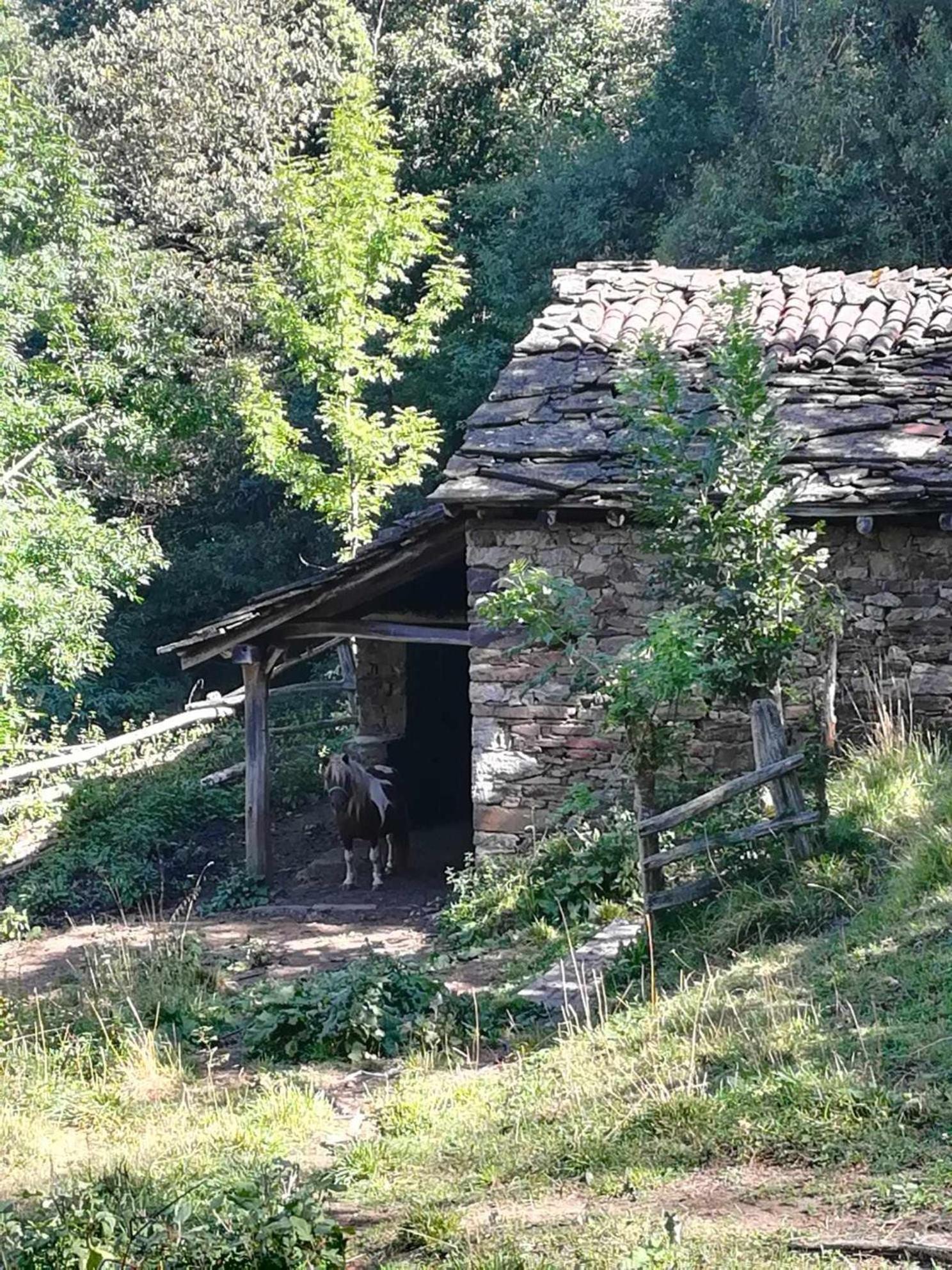 Апартаменты Asturias Boho Chic Альер Экстерьер фото